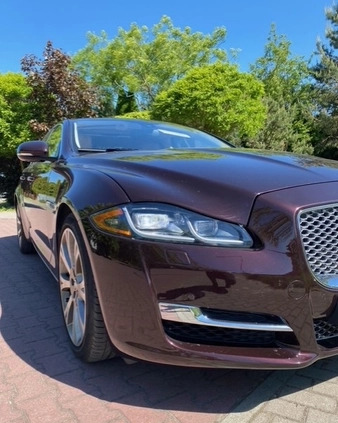 Jaguar XJ cena 48000 przebieg: 231000, rok produkcji 2010 z Radom małe 154